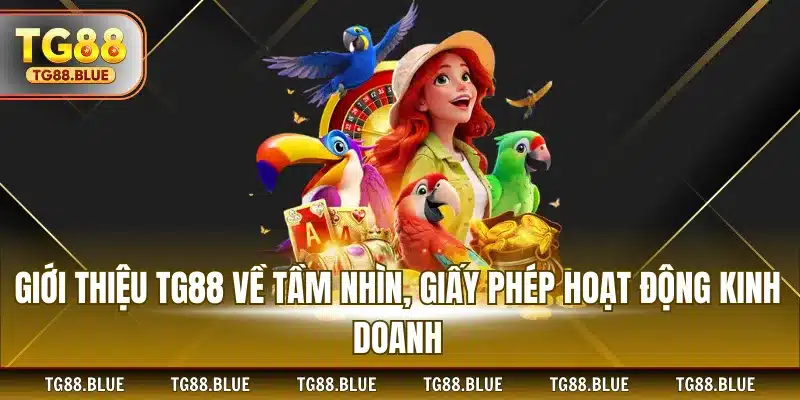 Giới thiệu TG88 về tầm nhìn, giấy phép hoạt động kinh doanh